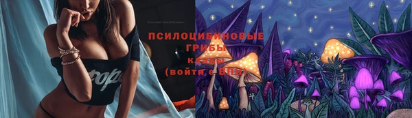 MDMA Premium VHQ Ладушкин