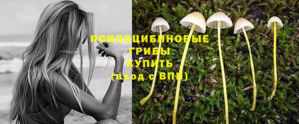 индика Лагань