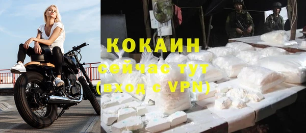 индика Лагань