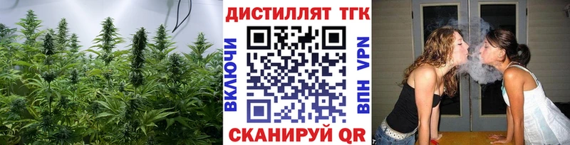 Купить где  Плёс  Дистиллят ТГК гашишное масло 