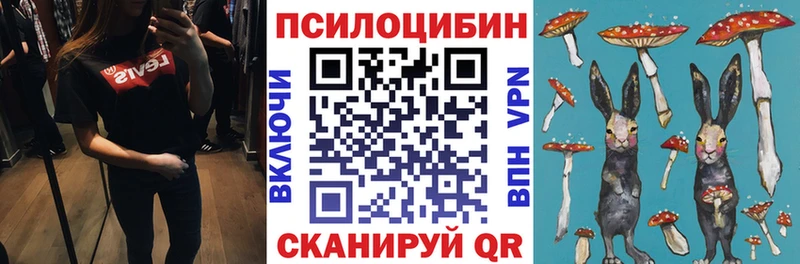 Купить закладки  Плёс  Галлюциногенные грибы мухоморы 
